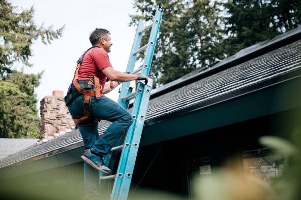 Best Rubber Roofing (EPDM, TPO)  in Braddock, PA