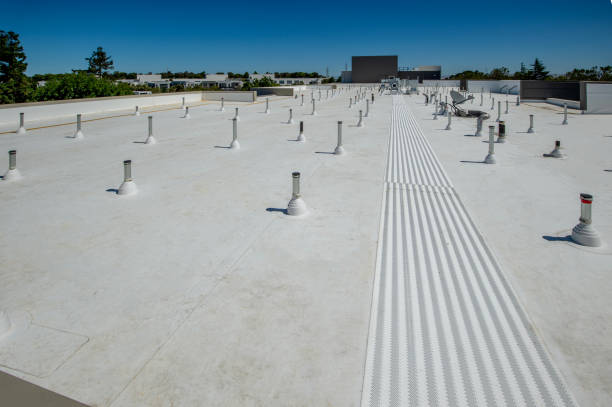 Best Roof Insulation Installation  in Braddock, PA
